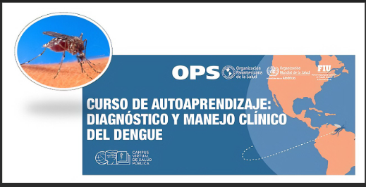 LA OPS ALERTA SOBRE EL RIESGO DE BROTES DE DENGUE