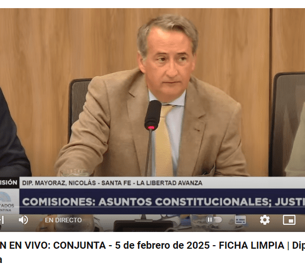 Ficha Limpia: el oficialismo consiguió dictamen de mayoría y se tratará la semana próxima en Diputados
