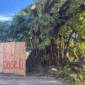 JUSTICIA POR JOSE QUIROZ, la negación municipal para podar mató al vecino