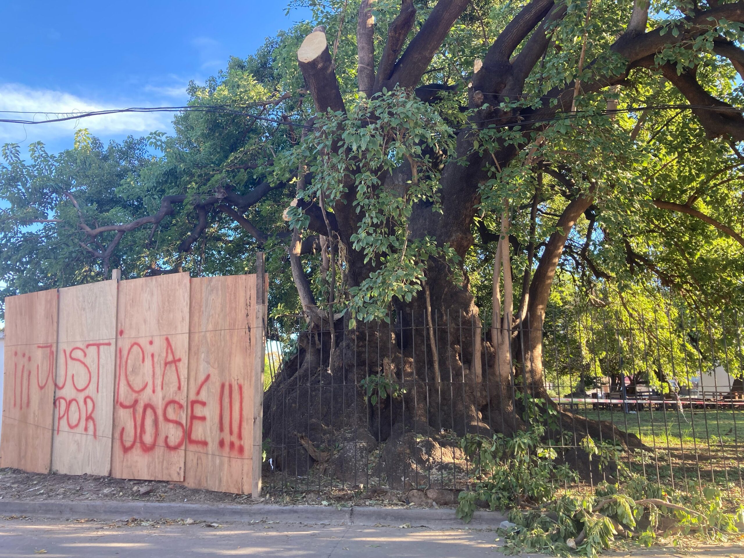 Tragedia en Chacra Pueyrredón: la comunidad acompaña a la familia de José Quiroz y reclama seguridad urbana
