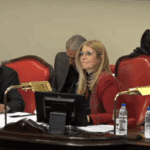 El Senado bonaerense dio media sanción al proyecto que habilita la reelección indefinida de legisladores provinciales