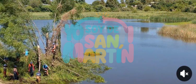 Los vecinos hablaron y el intendente escuchó: operativo de limpieza en marcha en el Arroyo Medrano, impulsado por Katopodis